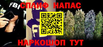 сатива Апшеронск