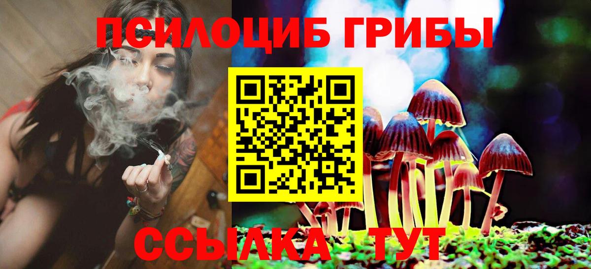 Псилоцибиновые грибы мицелий Маркс