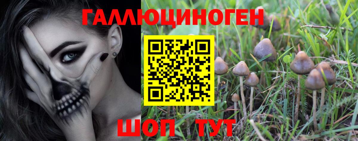 цены   Галлюциногенные грибы MAGIC MUSHROOMS  Вход с VPN  Маркс  Псилоцибиновые грибы MAGIC MUSHROOMS 