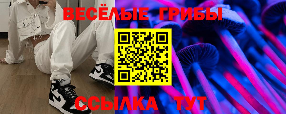 Псилоцибиновые грибы мицелий  Маркс  Галлюциногенные грибы GOLDEN TEACHER 