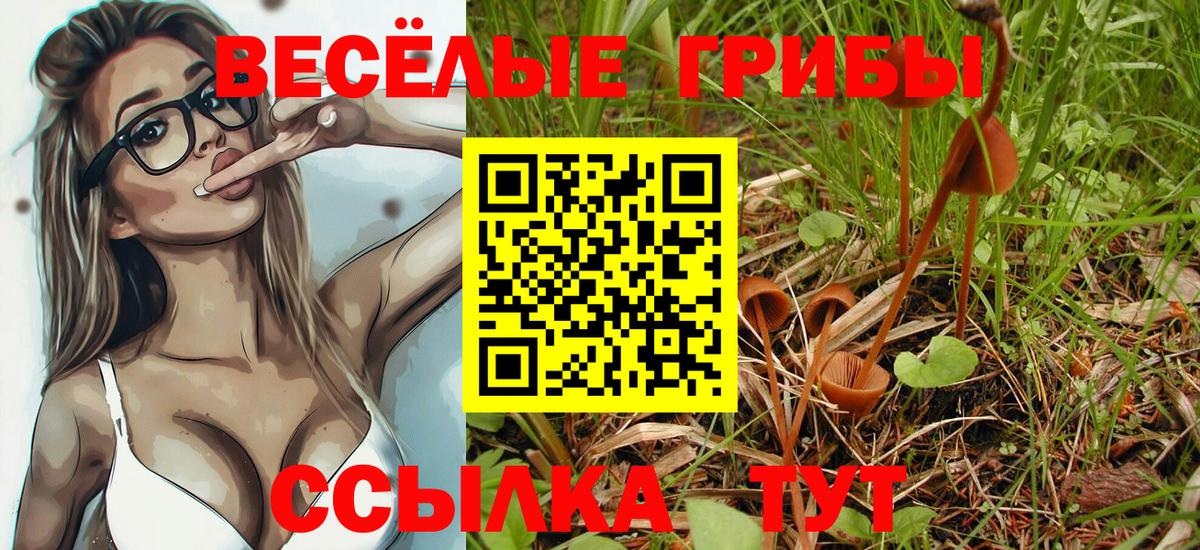 Галлюциногенные грибы MAGIC MUSHROOMS Маркс